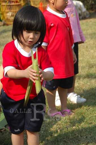 DSC_0261.JPG -  กีฬาสีอนุบาลสาทิตราชมงคล