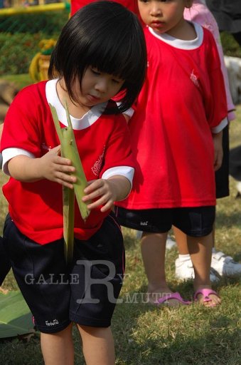 DSC_0262.JPG -  กีฬาสีอนุบาลสาทิตราชมงคล