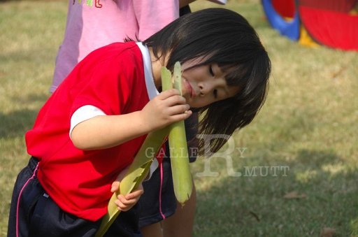 DSC_0269.JPG -  กีฬาสีอนุบาลสาทิตราชมงคล