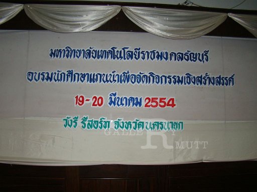 DSC08494.JPG