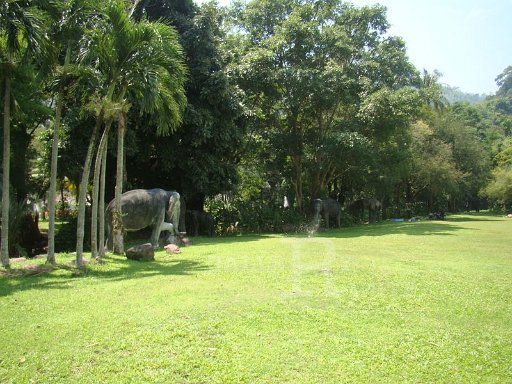 DSC08570.JPG