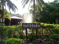 DSC08750