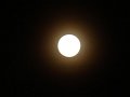 DSC08780