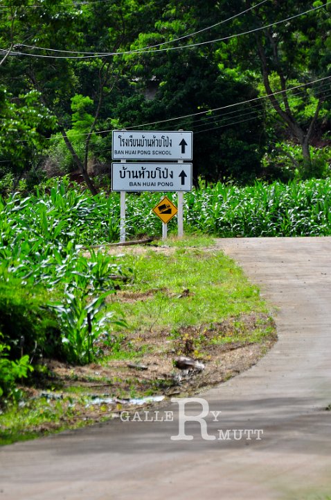 DSC_1865.jpg