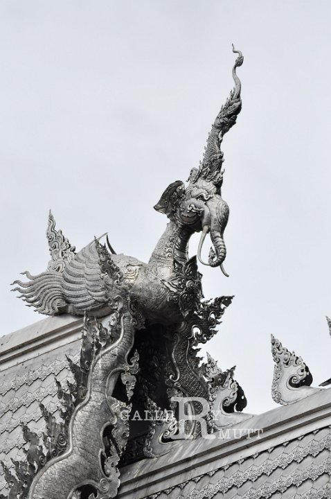 DSC_0076.jpg