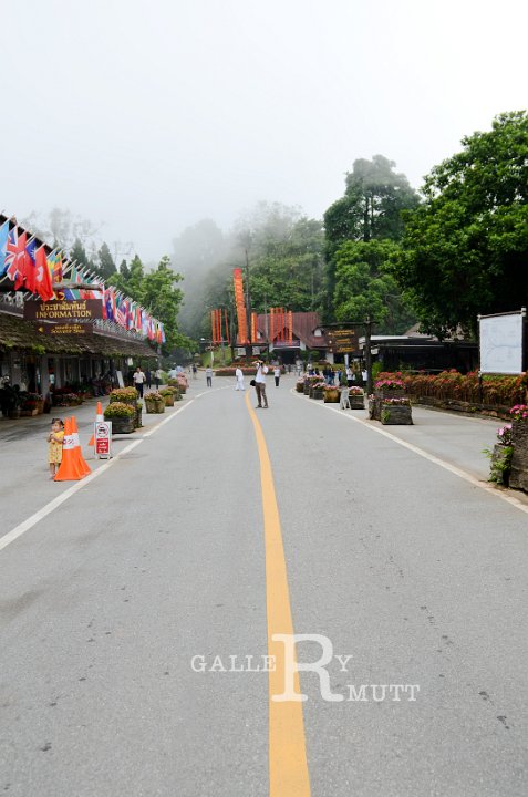 DSC_9485.jpg