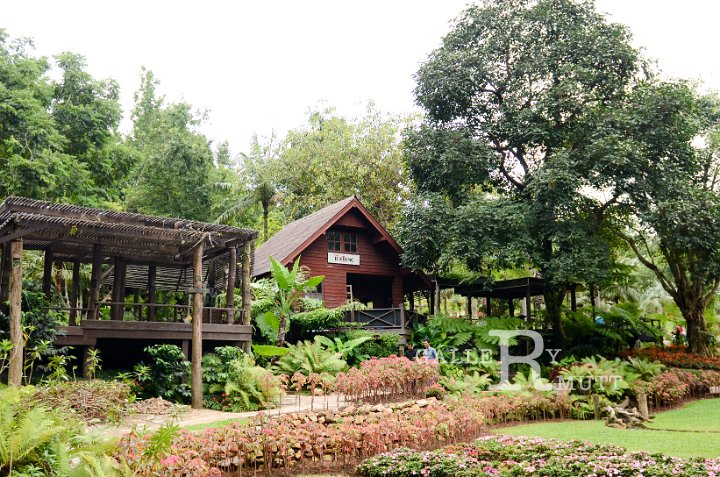 DSC_9637.jpg