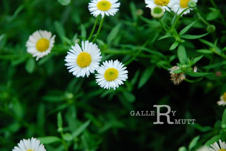 2013-07-20-E002.jpg - ARIT(PRODUCTION)