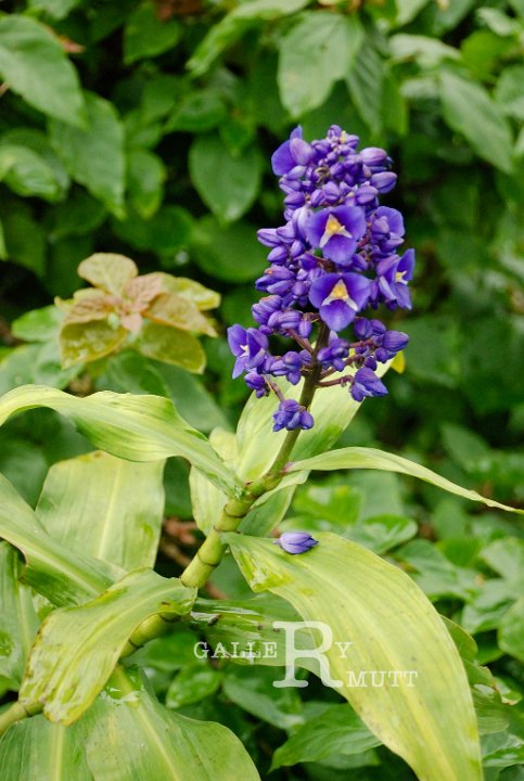 2013-07-20-F009.jpg - ARIT(PRODUCTION)