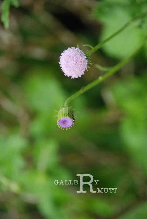 2013-07-20-F010.jpg - ARIT(PRODUCTION)