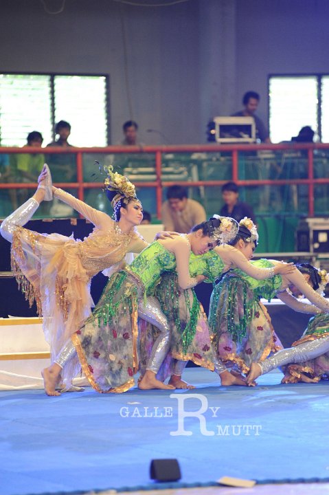 DSC_7950.JPG