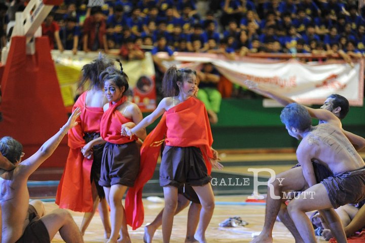 DSC_8328.JPG