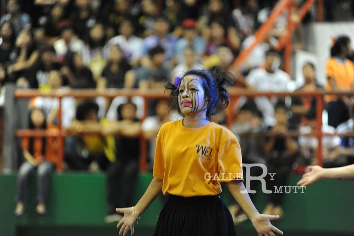 DSC_8564.JPG