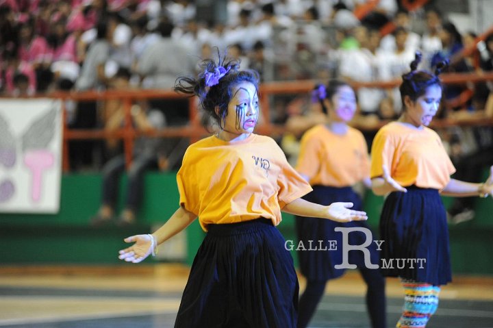 DSC_8576.JPG