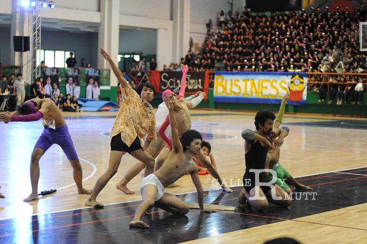 DSC_8610.JPG