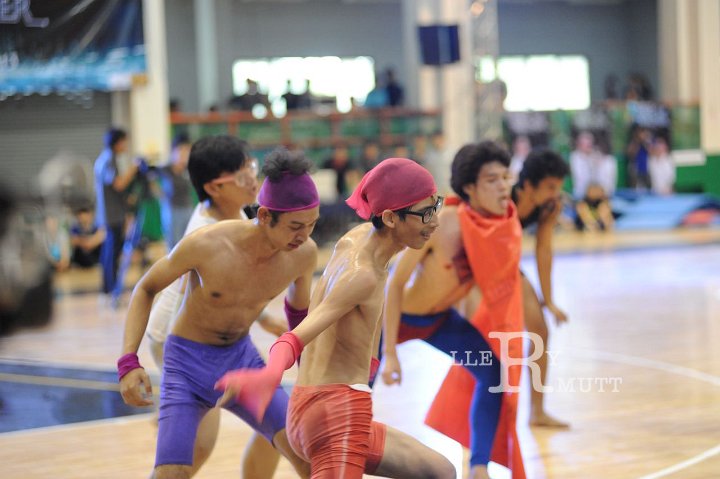 DSC_8639.JPG