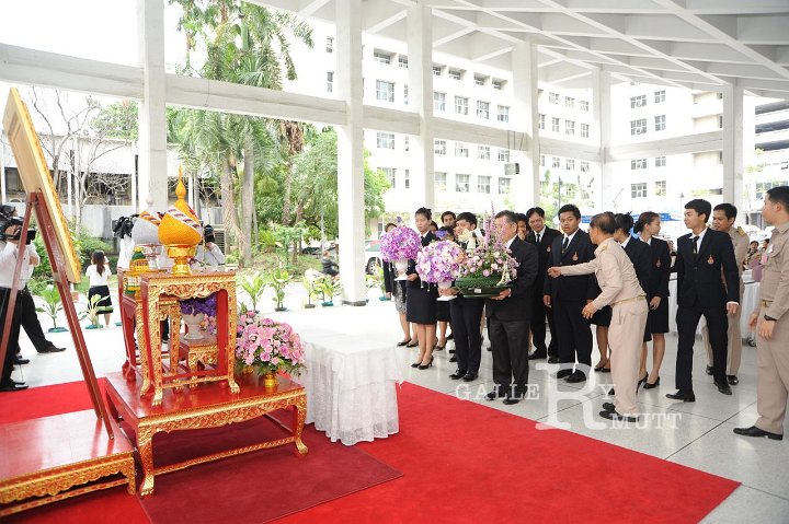 ORN_2637.JPG