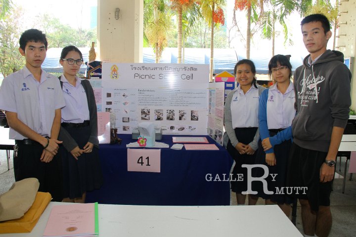 IMGL0037.jpg
