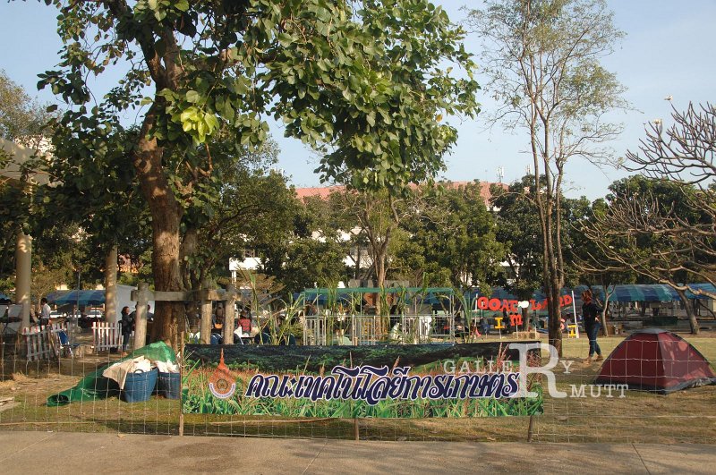 DSC_0030.JPG
