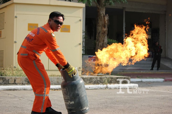 sci_133.jpg