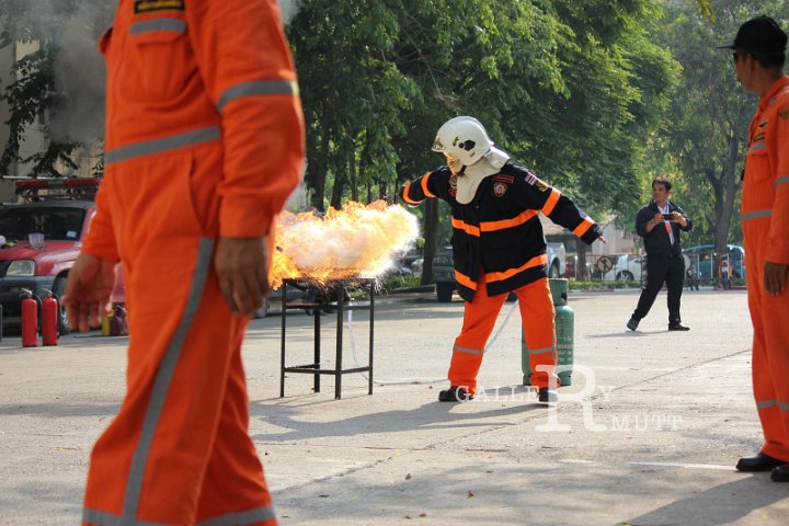 sci_82.jpg