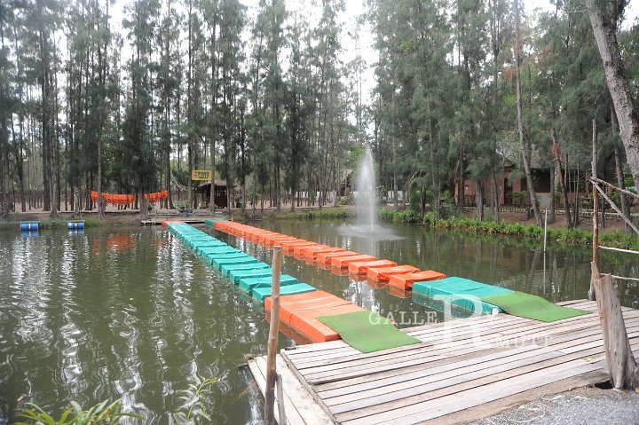 PRO_8538.JPG