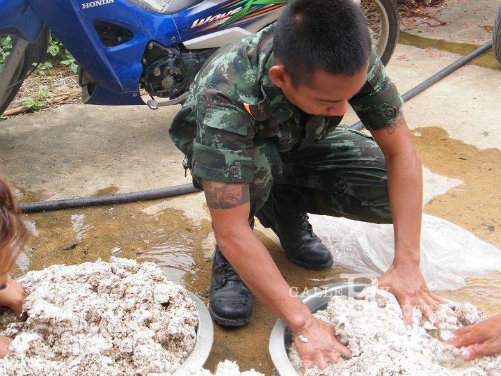 DSCF4566.JPG