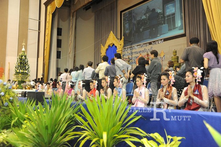 20140730-381.JPG