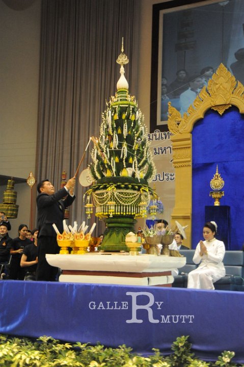 20140730-385.JPG