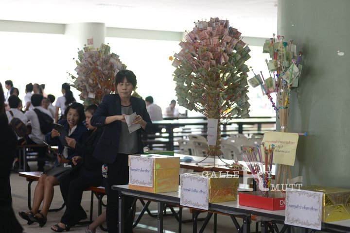 DSC_0910.JPG