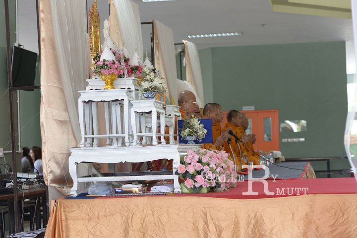 DSC_1129.JPG
