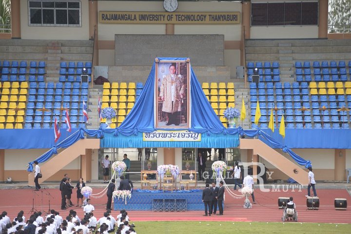 DSC_1302.JPG
