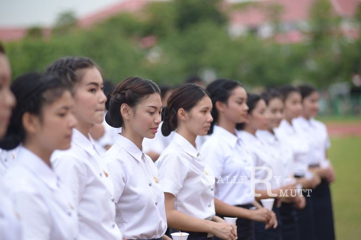 DSC_1343.JPG
