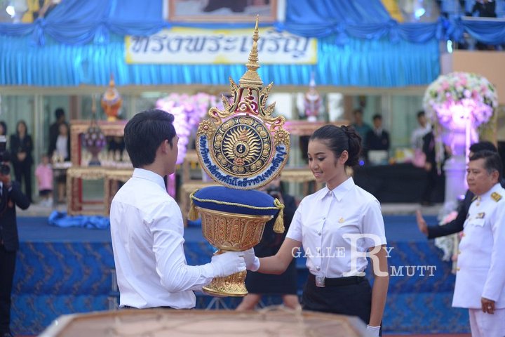 DSC_1411.JPG