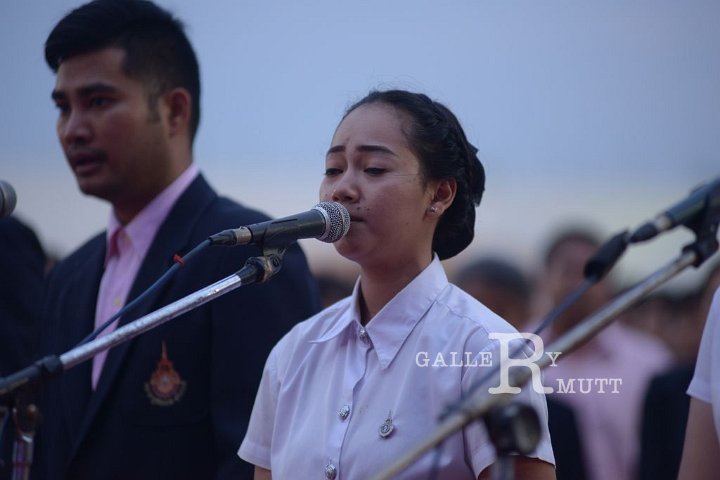 DSC_1466.JPG
