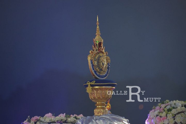 DSC_1554.JPG