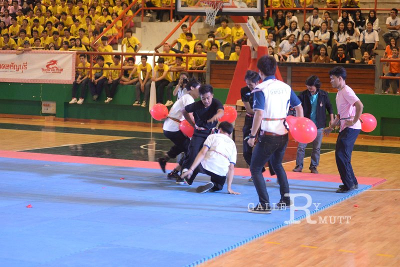 DSC_3000.JPG