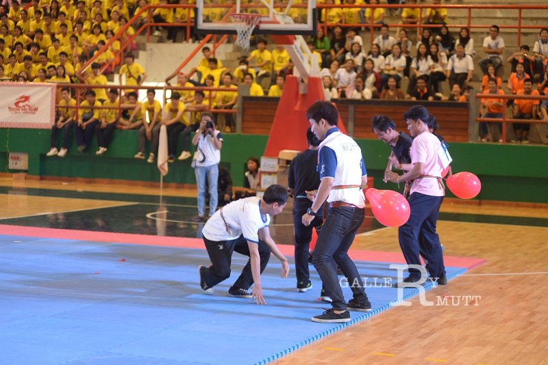 DSC_3001.JPG