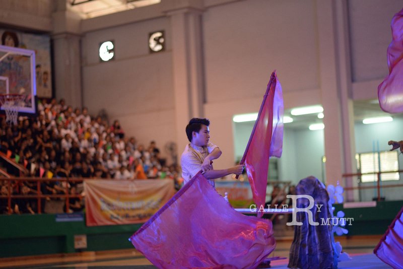 DSC_3174.JPG