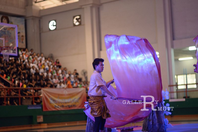 DSC_3175.JPG