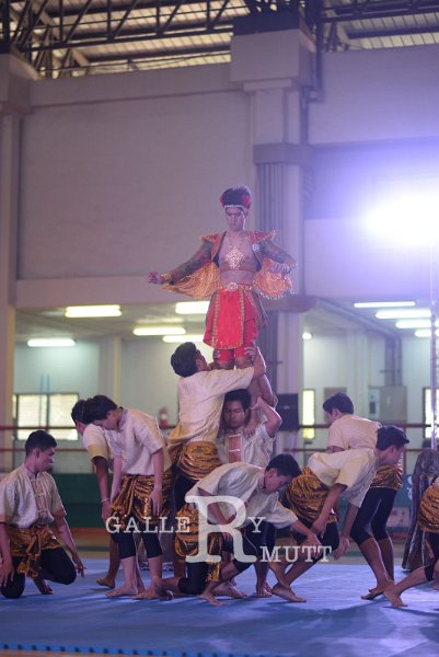 DSC_3178.JPG