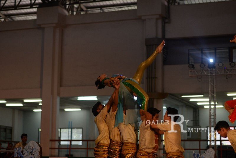 DSC_3191.JPG