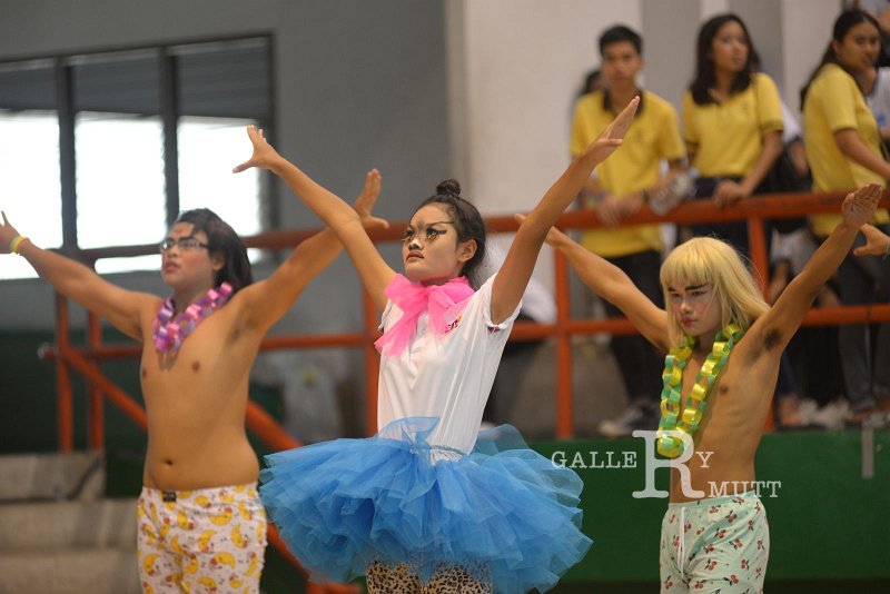 DSC_3380.JPG
