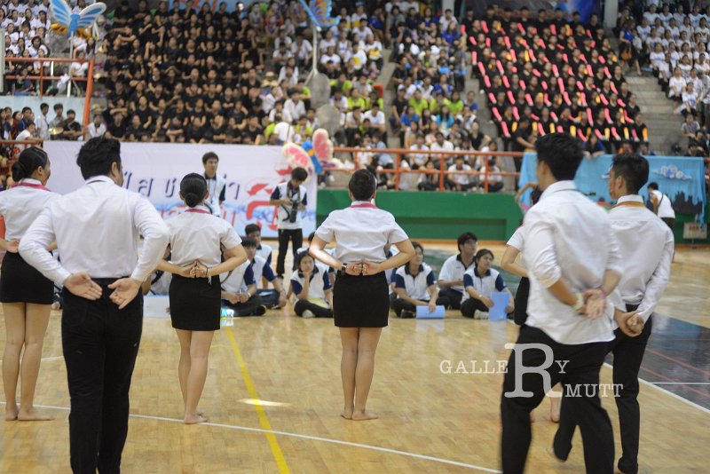 DSC_3623.JPG