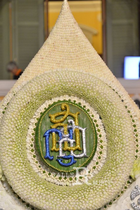 DSC_8198.JPG