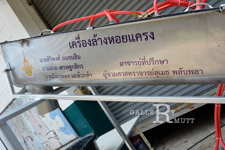 DSC_0079.jpg