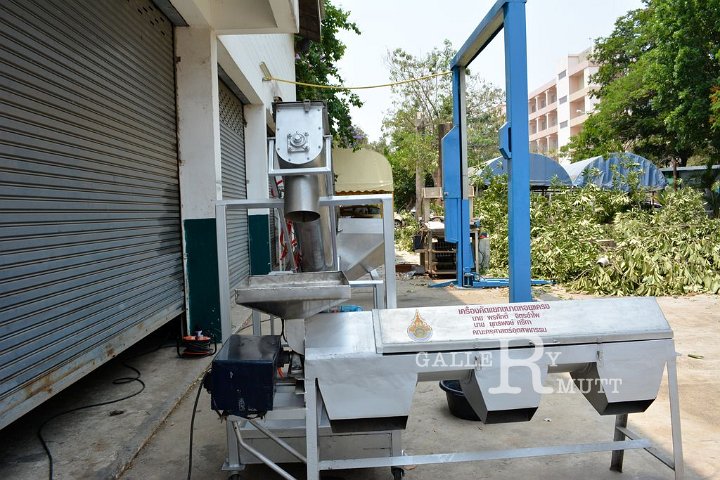 DSC_0081.jpg