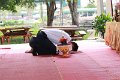 sci20140821_59