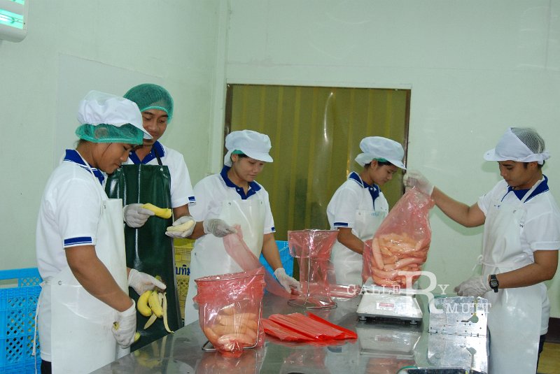 DSC_6859.JPG - ARIT(PRODUCTION)