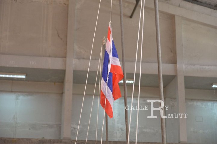 DSC_4764.JPG